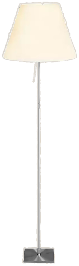 costanza lamp