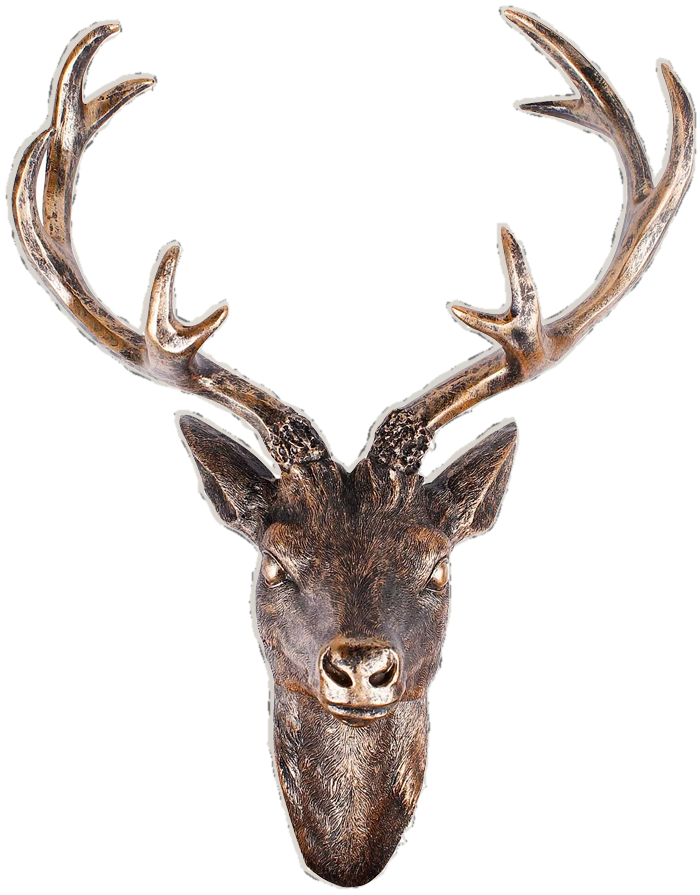 deer trophyt